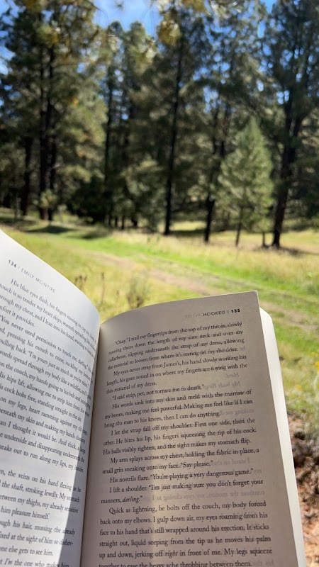 Scenic Wonders: Lynx Trailhead in Angel Fire outdoor detail