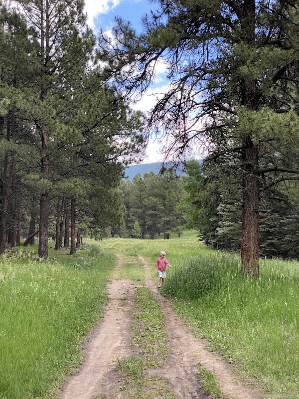 Scenic Wonders: Lynx Trailhead in Angel Fire surrounding landscape
