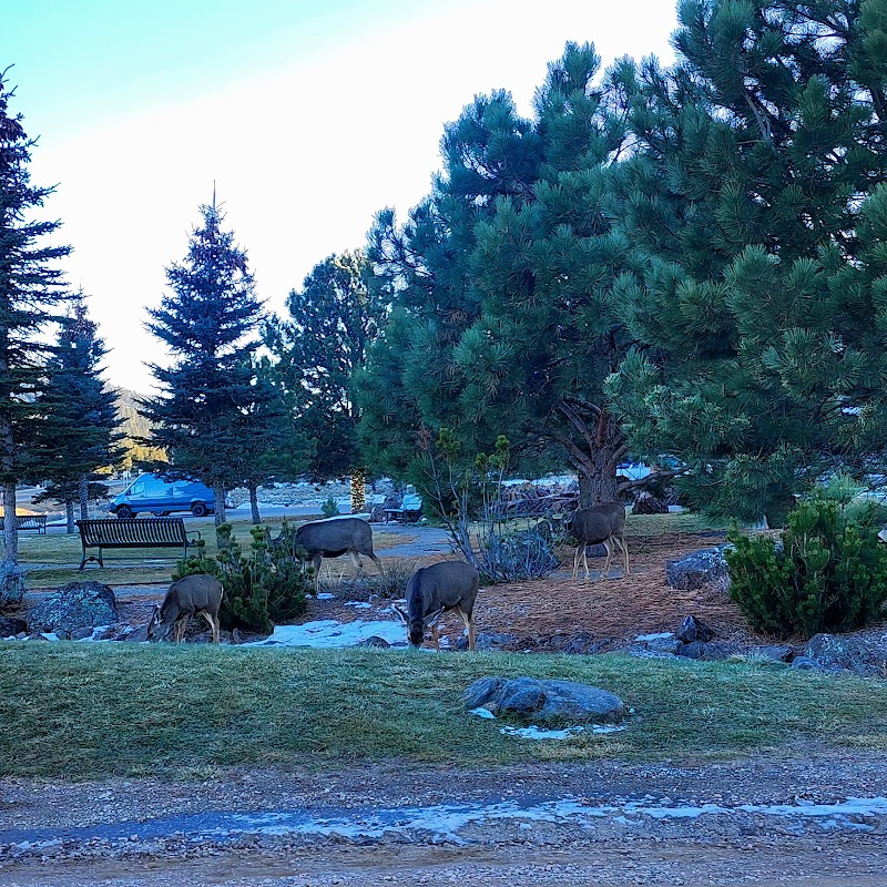 Scenic Retreat: Frontier Park in Angel Fire, New Mexico surrounding landscape