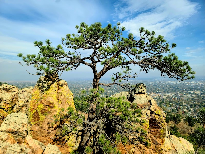 Discover Adventure at Mount Sanitas Trailhead surrounding landscape