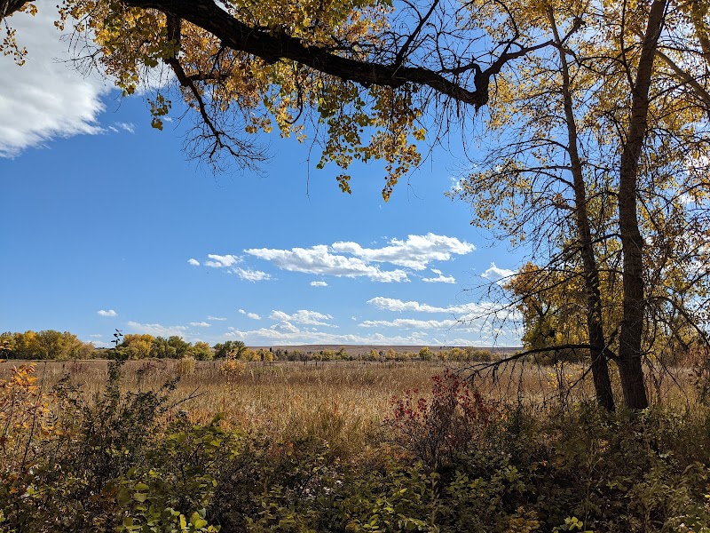 Serenity Along Bobolink Trailhead surrounding landscape