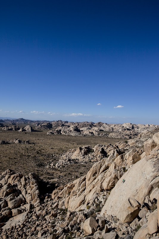 Climbing Adventures in Joshua Tree surrounding landscape
