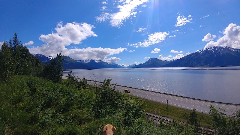 Majestic Anchorage: Alaska's Gateway to Wilderness - Anchorage
