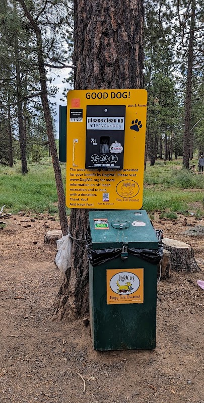 Majestic Adventure: GoodDog! in Bend, Oregon outdoor detail