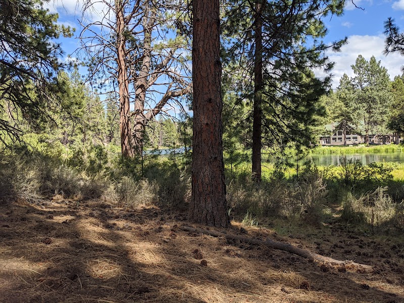 Tranquil Waters at Meadow Day Use Area outdoor detail