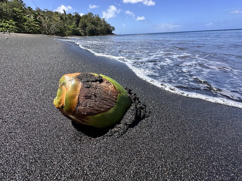 Unique Seascape: Black Bay Black Sand Beach - Black bay black sand beach