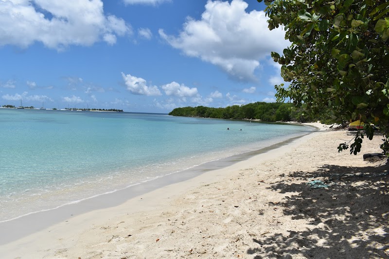 Sun-Kissed Bliss at Paradise Beach - Paradise Beach
