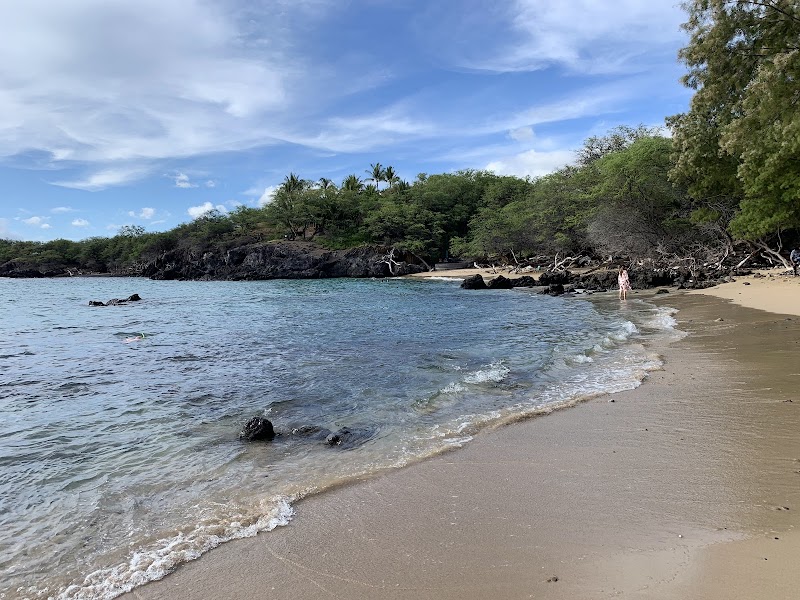 Sun-kissed Shores of Waialea Beach - Waialea Beach