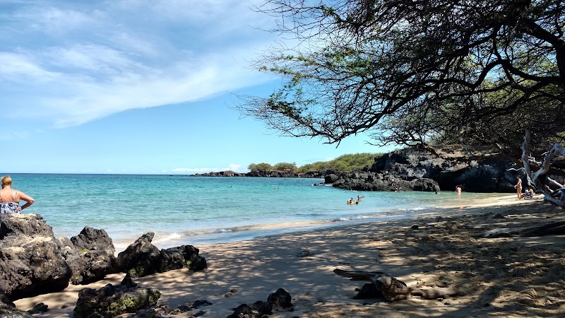 Sun-kissed Shores of Waialea Beach - Waialea Beach