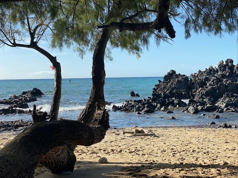 Sun-kissed Shores of Waialea Beach - Waialea Beach