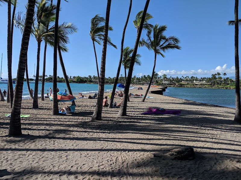 Hawaii Marine Life Conservation District adventures