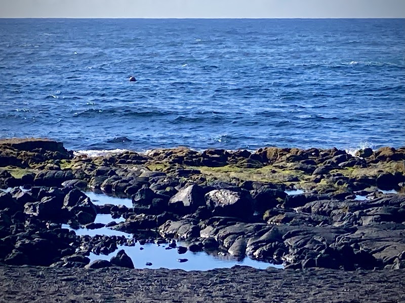 Black Sands of Punaluʻu Beach - Punaluʻu Beach