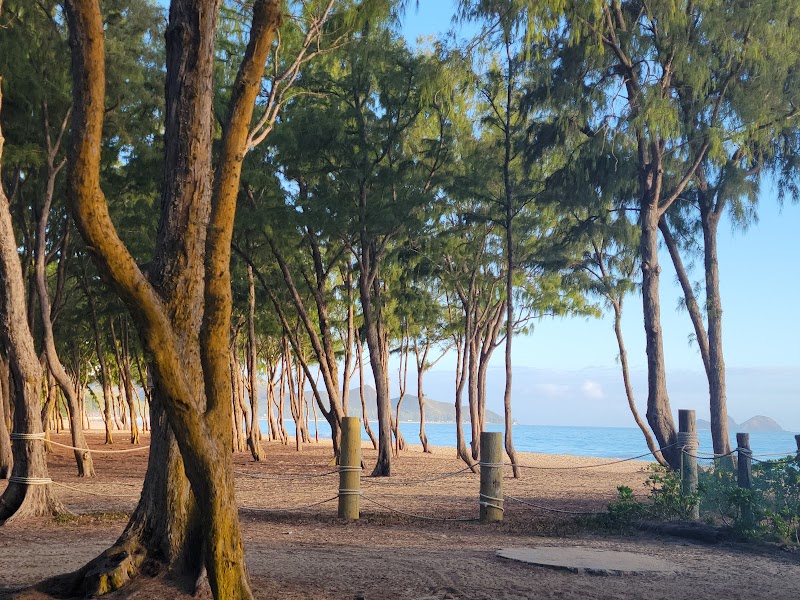 Serenity at Sherwood Beach: Nature's Tranquil Escape - Sherwood Beach