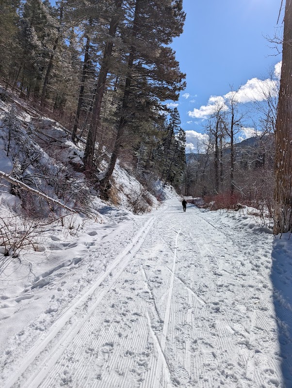 Discover the Wonders of Sourdough/Bozeman Creek Trailhead outdoor detail