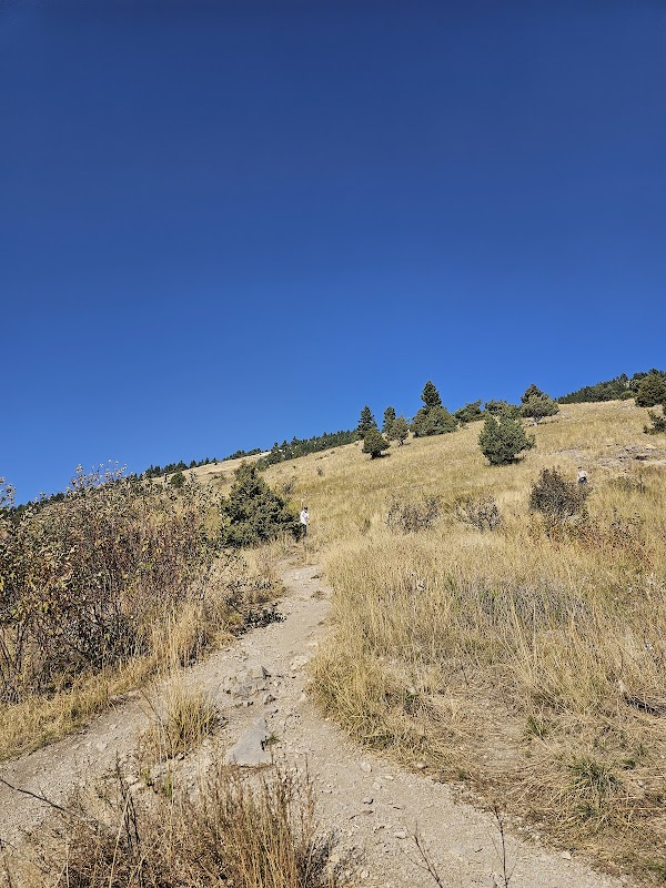 Hiking Treasures at College M Trailhead - College M Trailhead and Picnic Area