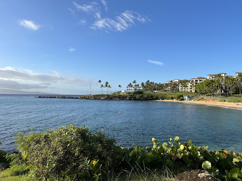 Sunlit Serenity at Kapalua Bay Beach - Kapalua Bay Beach