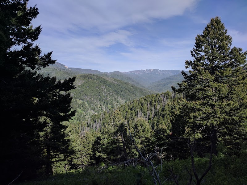 Discover Nature's Splendor: Leverich Canyon Mountain Trail Head, Bozeman - Leverich Canyon Mountain Trail Head