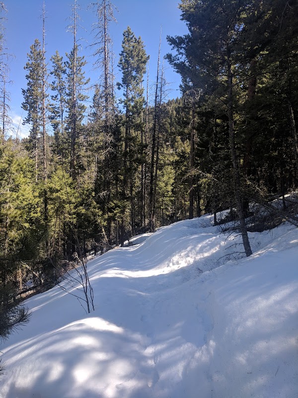 Discover Nature's Splendor: Leverich Canyon Mountain Trail Head, Bozeman surrounding landscape