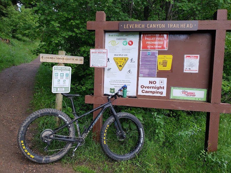 Discover Nature's Splendor: Leverich Canyon Mountain Trail Head, Bozeman outdoor detail