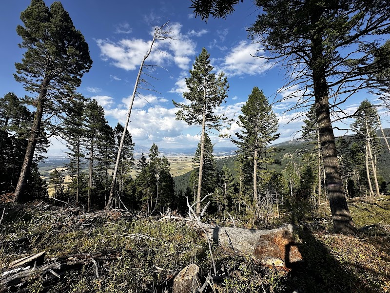 Discover Nature's Splendor: Leverich Canyon Mountain Trail Head, Bozeman - Leverich Canyon Mountain Trail Head