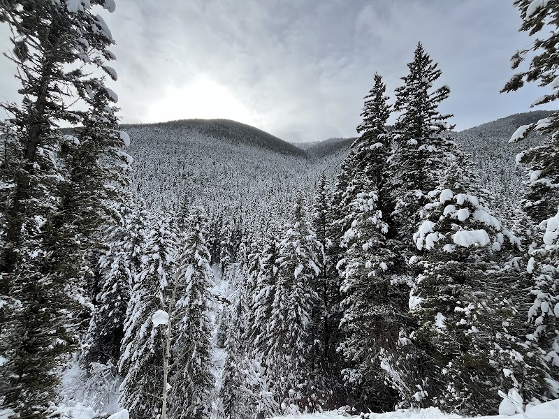 Hiking Along South Cottonwood Trailhead surrounding landscape