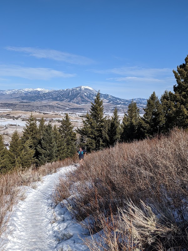 Hiking The Triple Tree Trailhead - Triple Tree Trailhead