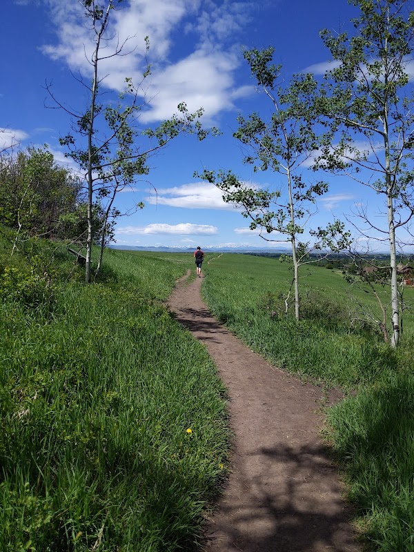 Hiking The Triple Tree Trailhead surrounding landscape