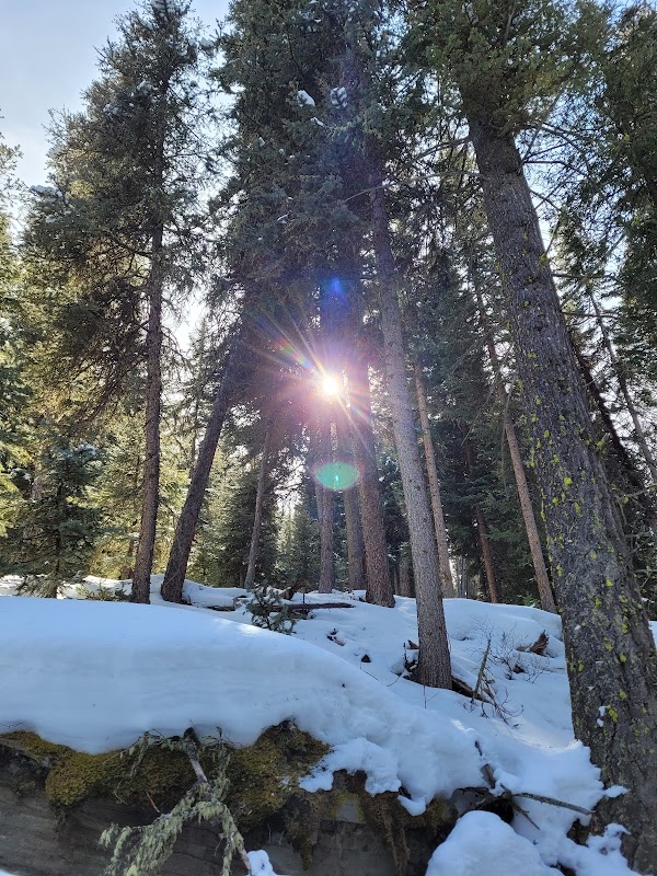 Charming Cascades: Ousel Falls Park Trail outdoor detail