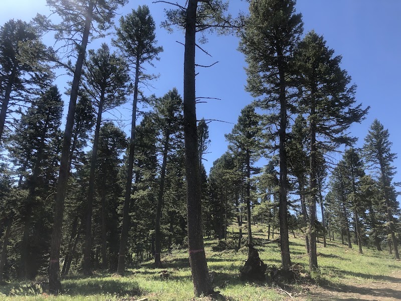 Scenic Views at Kirk Hill surrounding landscape