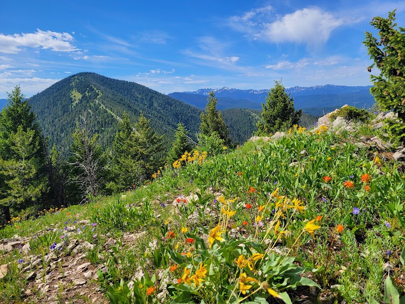 Discover the Scenic Beauty of Mt Ellis Trailhead - Mt Ellis Trailhead