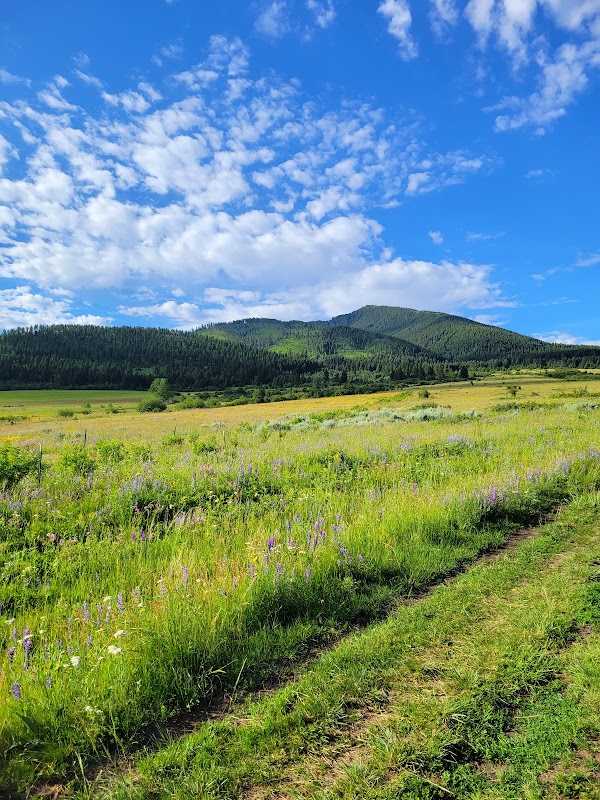 Discover the Scenic Beauty of Mt Ellis Trailhead - Mt Ellis Trailhead