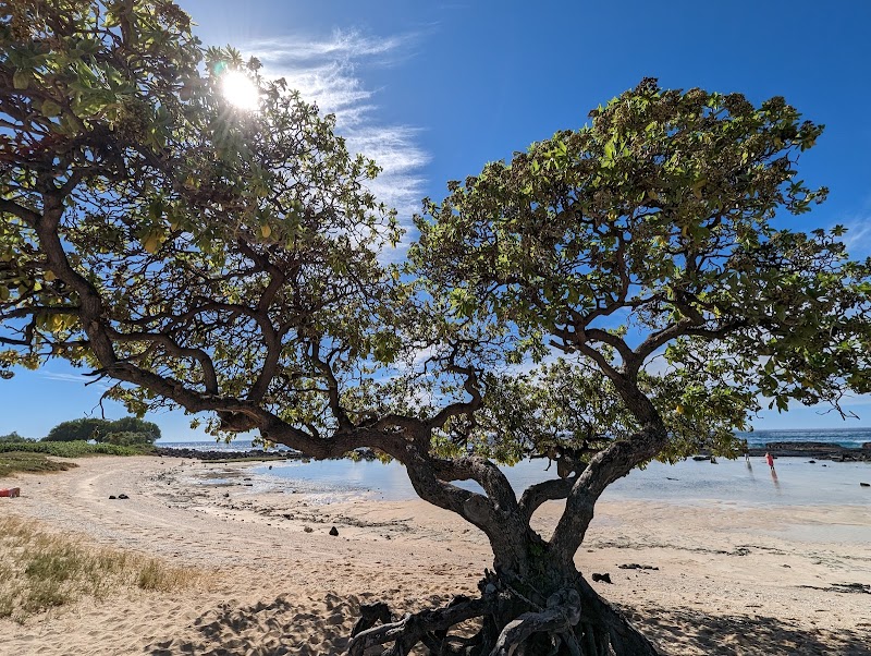 Waves & Wonder at Wawaloli Beach Park - Wawaloli Beach Park