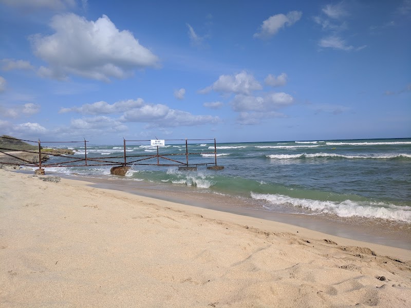 Sunny Escapes: White Plains Beach - White Plains Beach