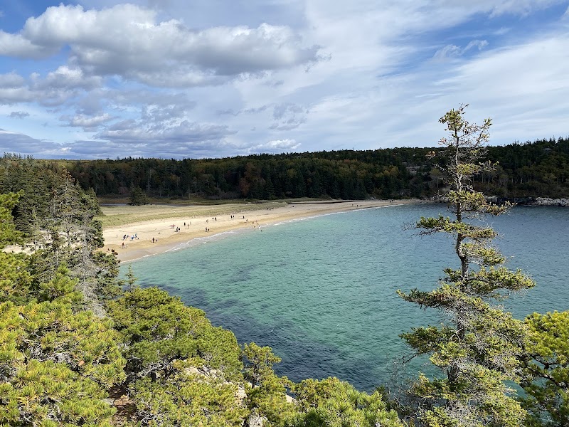 Scenic Seaside Splendor: Ocean Path Trailhead - Ocean Path Trailhead