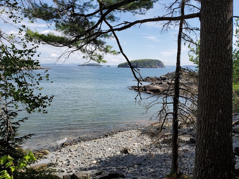 Coastal Charm: Compass Harbor Trailhead - Compass Harbor Trailhead