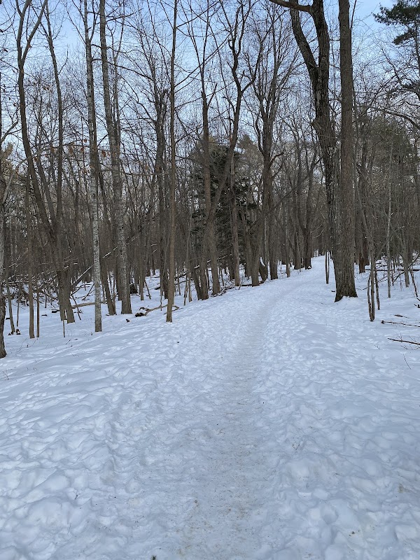 Coastal Charm: Compass Harbor Trailhead surrounding landscape