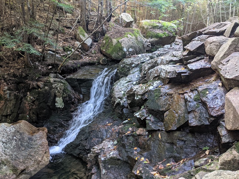 Discover Dorr Mountain: Nature's Jewel in Bar Harbor - Dorr Mountain