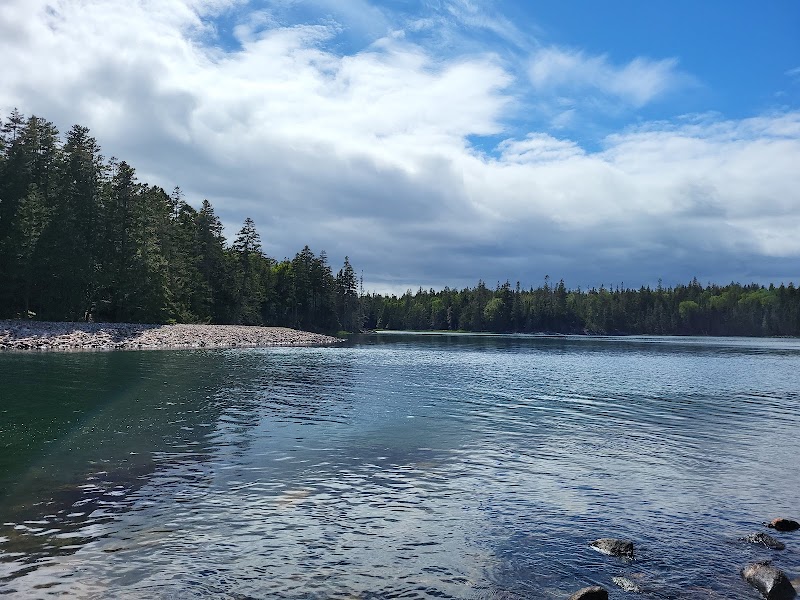 Discover the Scenic Marvel of Ship Harbor Trail outdoor detail