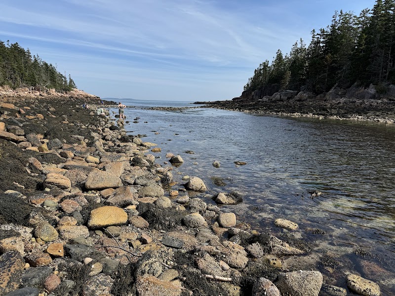 Discover the Scenic Marvel of Ship Harbor Trail - Ship Harbor Trail