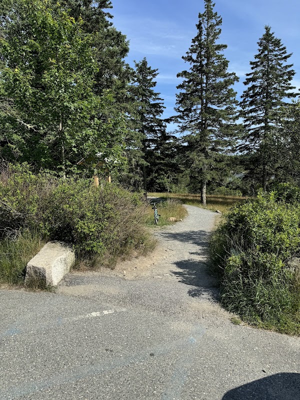 Discover the Scenic Marvel of Ship Harbor Trail - Ship Harbor Trail