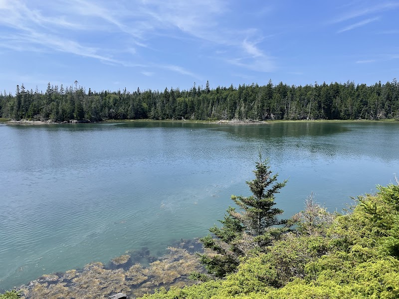 Discover the Scenic Marvel of Ship Harbor Trail - Ship Harbor Trail