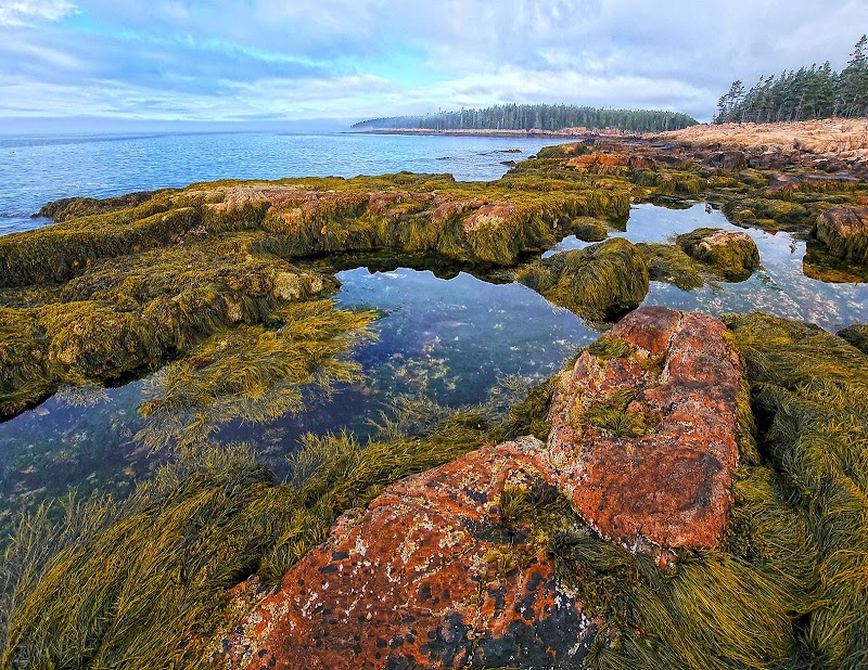 Discover the Scenic Marvel of Ship Harbor Trail surrounding landscape