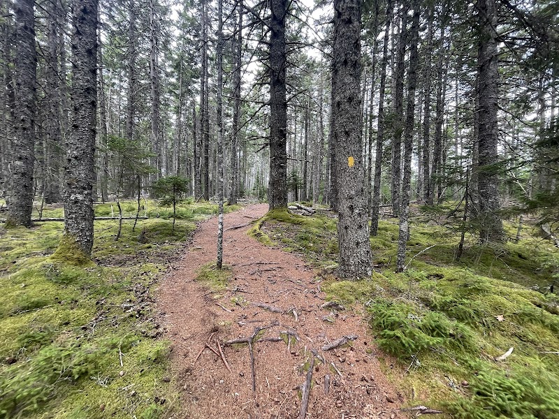 Nature's Retreat at Indian Point Blagden Preserve surrounding landscape