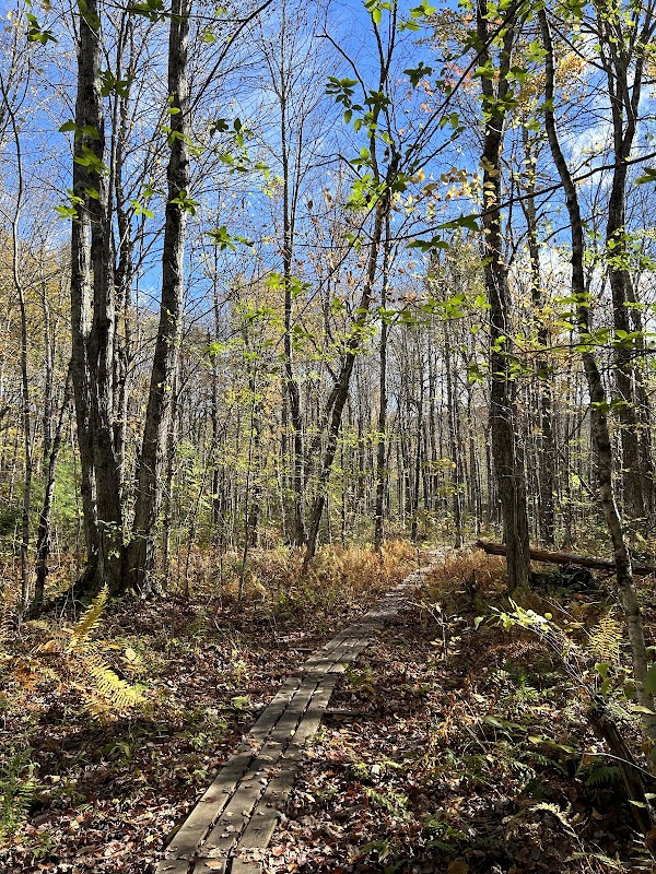 A Glimpse of Maine's Majestic Landscape: Long Mountain Trailhead outdoor detail