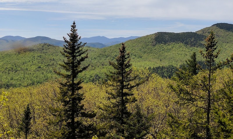 Bethel Conservation Forest adventures