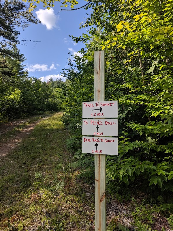 Discover the Wonders of Bethel Community Forest - Bethel Community Forest