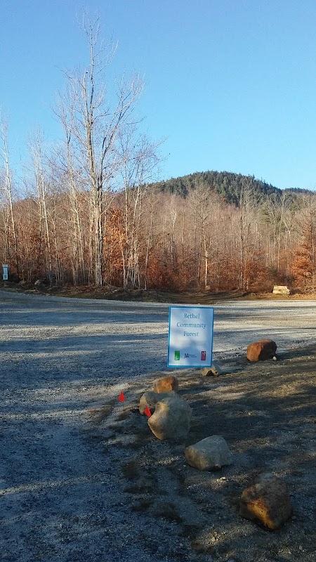 Discover the Wonders of Bethel Community Forest surrounding landscape