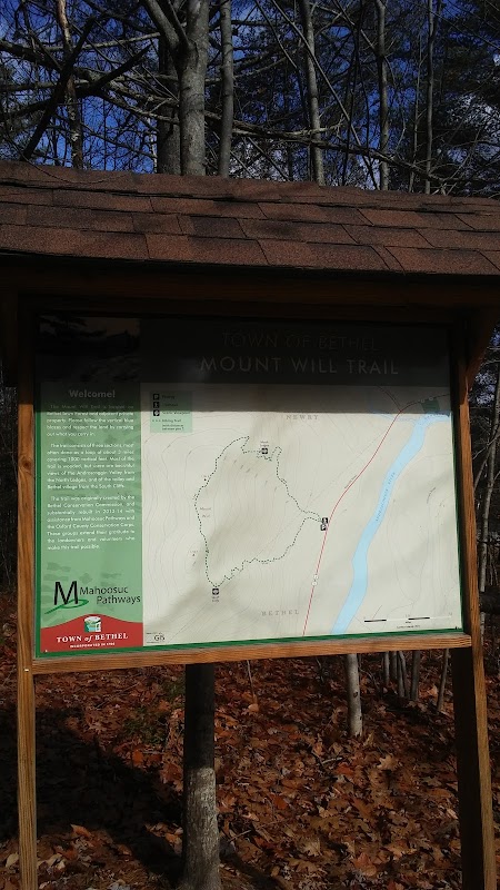 Mount Will Town Forest: A Natural Haven in Bethel, Maine outdoor detail