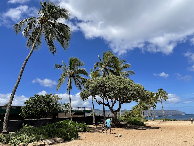 Sandy Shores of Haleiwa Alii Beach - Haleiwa Alii Beach