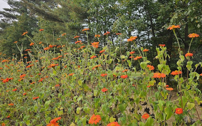 Nature's Haven: Mahoosuc Land Trust Valentine Farm outdoor detail